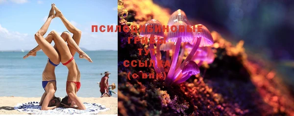 ешки Нефтекумск