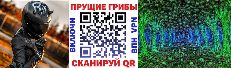 гидра сайт  Прохладный  Псилоцибиновые грибы ЛСД  даркнет сайт 