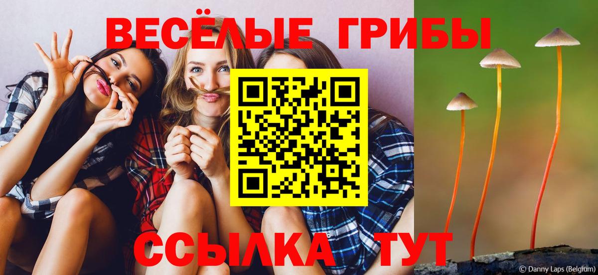 Псилоцибиновые грибы ЛСД Прохладный