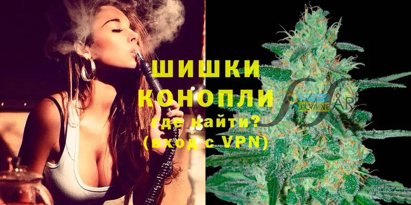 Шишки марихуана LSD WEED  купить наркоту  Прохладный 